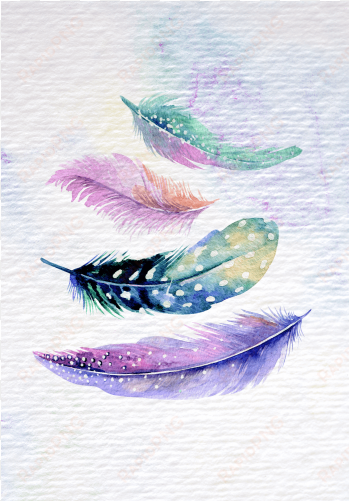 feather set - girly designs in notebook