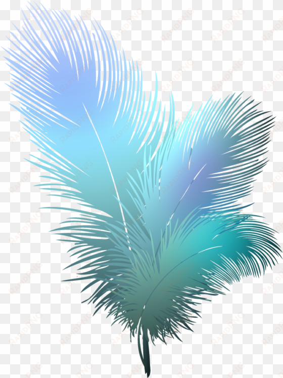 feathers clipart feathers clipart transparent background - transparent peacock feather png