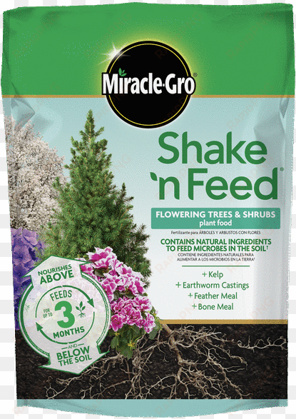 feed flowering trees and shrubs - miracle grow fertilizer