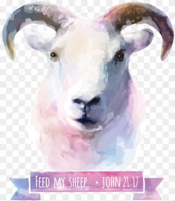 feed my sheep - animal watercolor background art