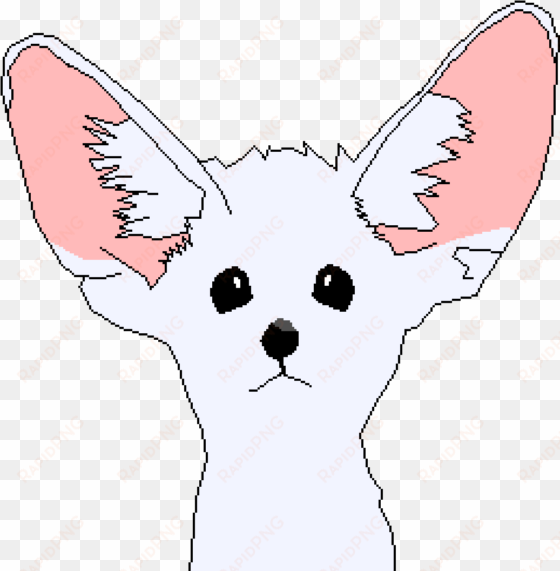 fennec fox - illustration