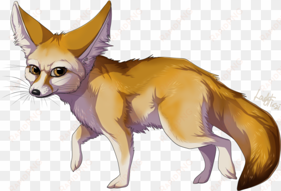 fennec fox png transparent image - fennec fox transparent