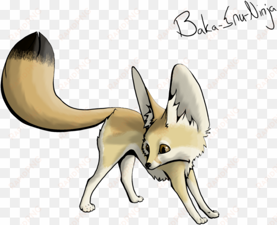 fennec fox transparent png - easy fennec fox drawings