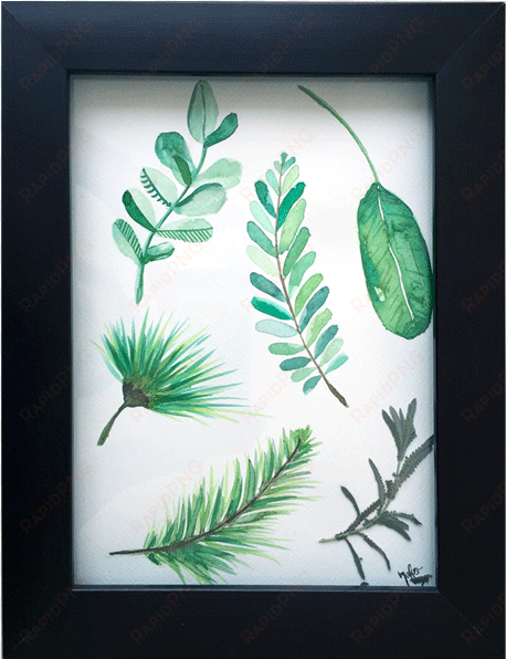 fern clipart watercolor - picture frame