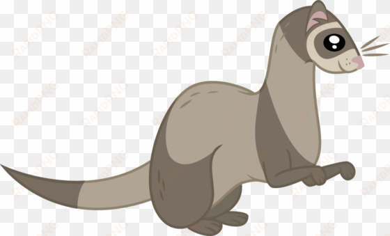 ferret vector animal - ferret cartoon transparent background