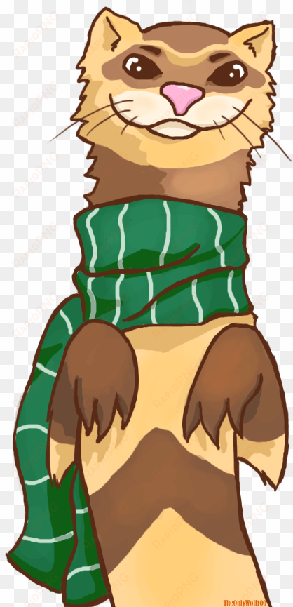 ferret wid a scarf by theonlywolf100 on deviantart - ferret in a scarf