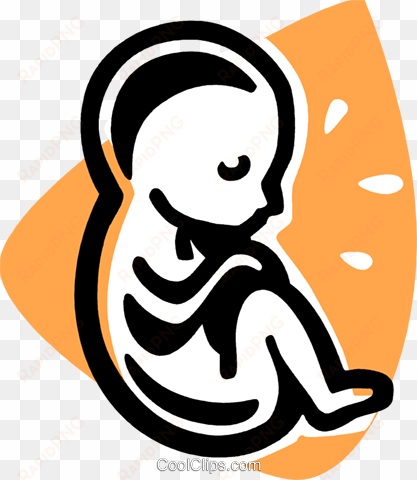 fetus royalty free vector clip art illustration - fetus clipart