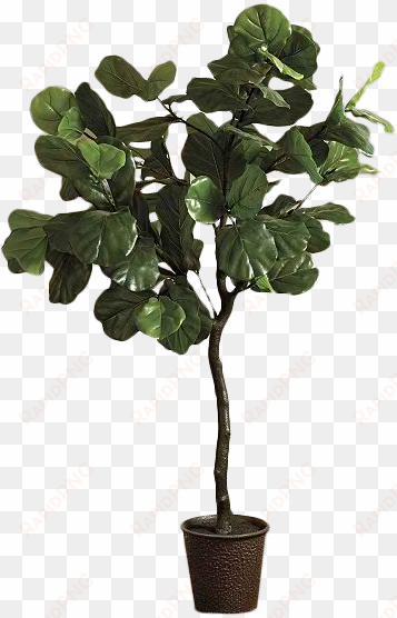 fiddle leaf png - ballard designs bunny williams faux fiddle leaf fig