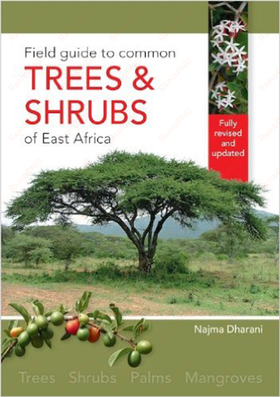 field guide to the trees and shrubs of east africa - field guide to common trees and shrubs