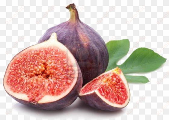 fig png free download - califig - syrup of figs 100ml .