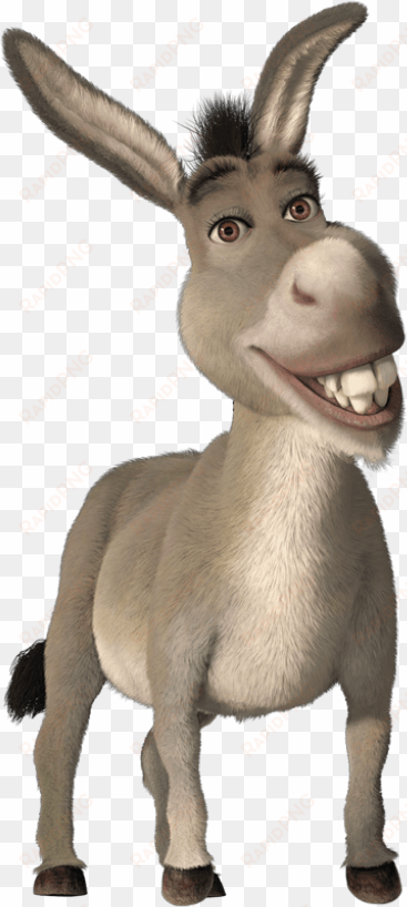 file history - donkey from shrek