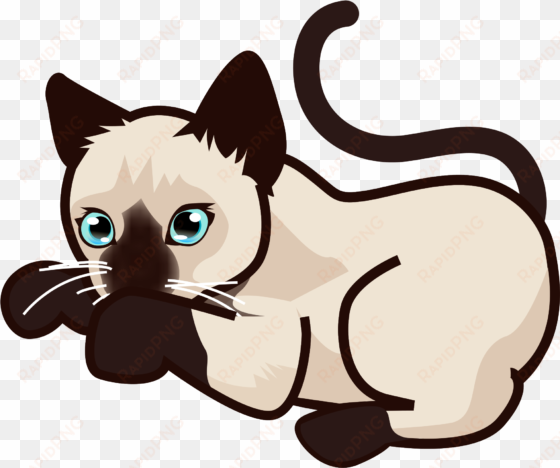 file peo siamese kitten svg wikimedia commons - cats transparent siamese