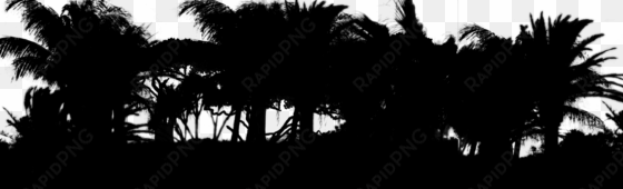 file - trees - white and black trees png