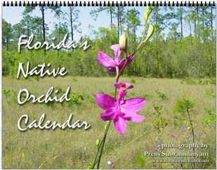 finally, we have our second ever calendar release, - native florida orchids