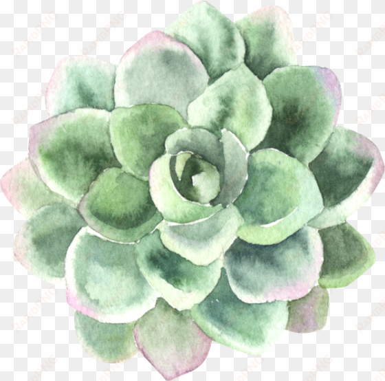 find support in your process of personal transformation - thank you card with succulents