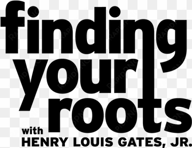 finding your roots (region 1 import dvd)