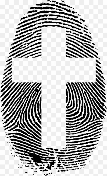 fingerprint fibonacci number golden spiral golden ratio - finger print