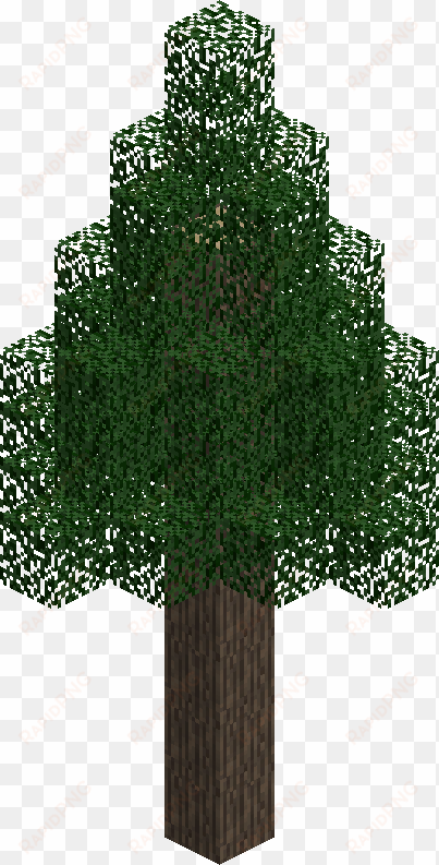 fir tree - minecraft tree png