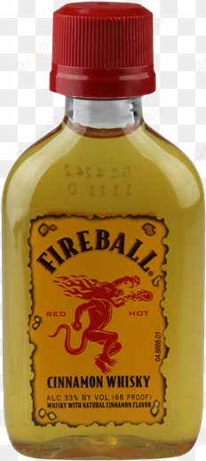 fireball cinnamon whisky - fireball cinnamon whisky 50ml
