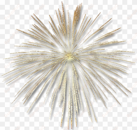 fireworks png transparent image - gold fireworks transparent background