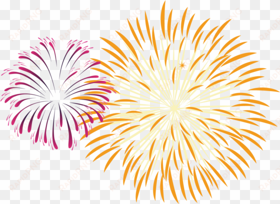 fireworks pyrotechnics - celebration fireworks png