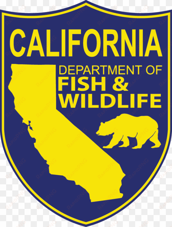 fish and game commission increases purple sea urchin - california game warden throw blanket