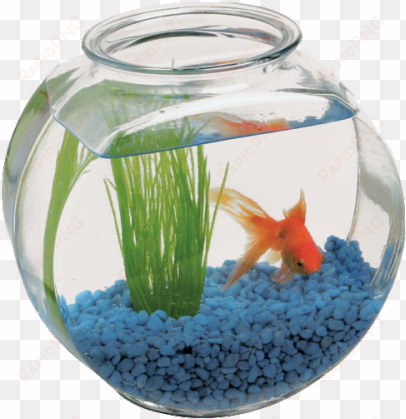 Fish-bowl - Tumblr - 2 Gallon Fish Bowl transparent png image