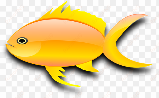 fish, goldfish, digital, isolated - gold fish clip art