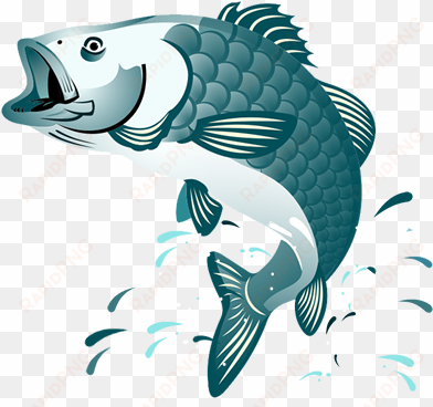 fish jumping clipart png