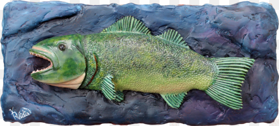 fish on wall light weight drywall mud & oil - bass