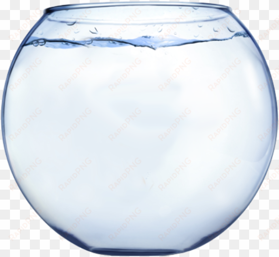 fish out of - glass fish bowl png