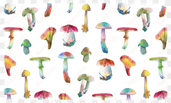 flamingo - agaric