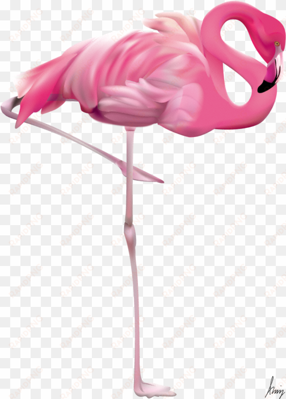flamingo by leo - flamingo png