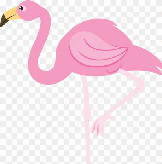 flamingo clip art - transparent background flamingo png