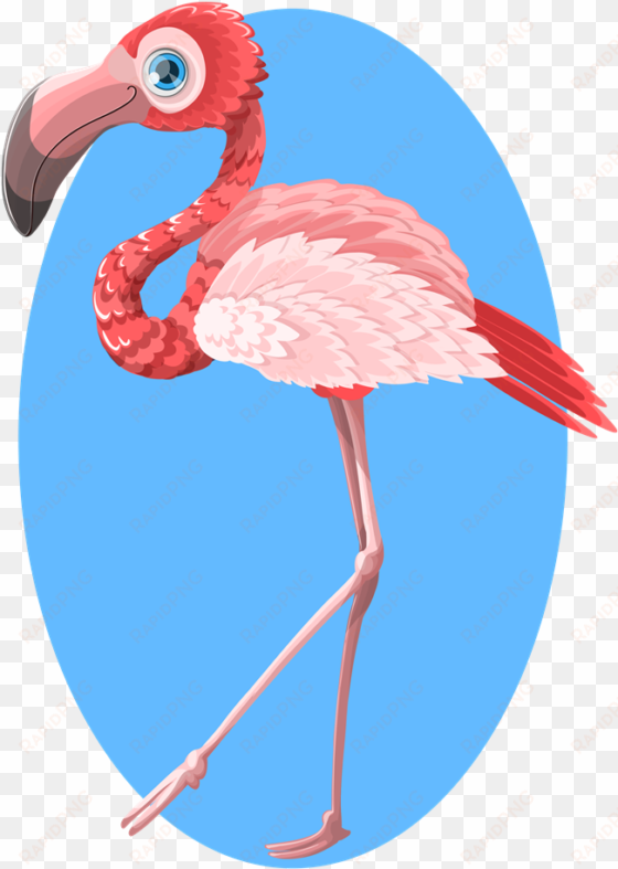 flamingo clipart swimming - flamingo