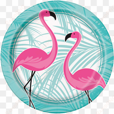 flamingo fun party plates - flamingo party plates