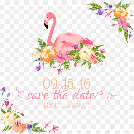 flamingo wedding invitation euclidean vector illustration - save the date flamingo