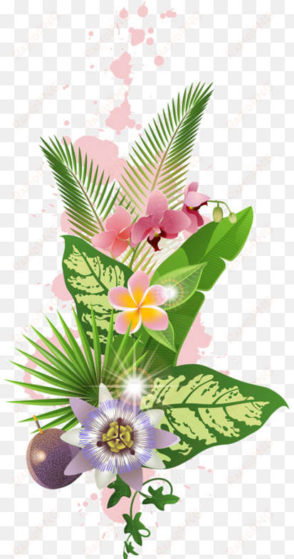 Fleurs Flores Flowers Bloemen Png Bc Pinterest - Fleurs Tropicales Png transparent png image