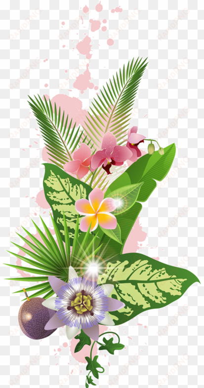 fleurs flores flowers bloemen png bc pinterest - fleurs tropicales png