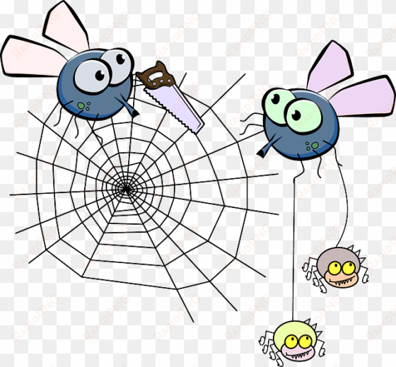 flies, mosquito, spider, insect, spiderweb, saw - spider web clip art