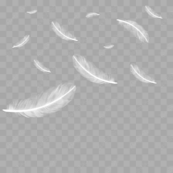 floating falling feather, feather, feathers, feathers - feather png