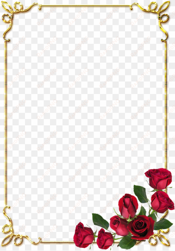 floral design - bordas rosas vermelhas png