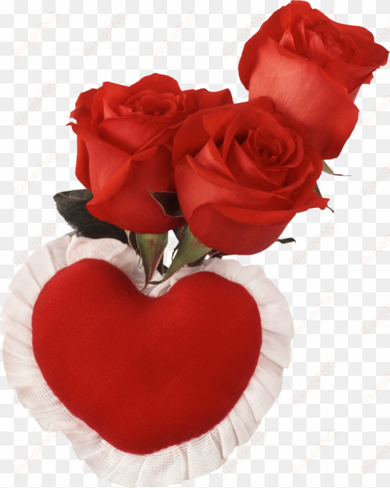 Flores, Rosas Rojas Png - Happy Thursday With Roses transparent png image