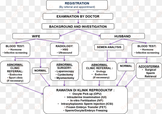 flow chart of treatment in reproductive clinic - diagram