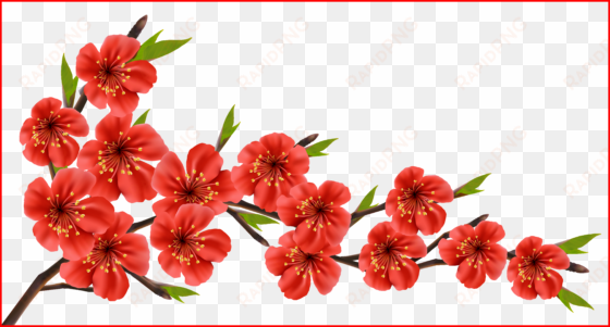 flower branches clipart - all the best for presentation quotes