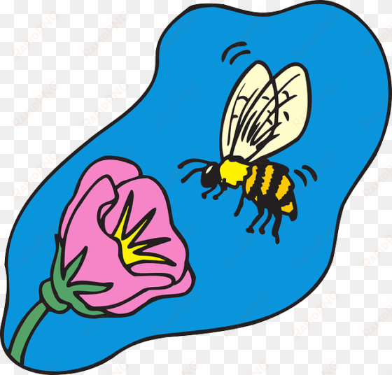 flower, cartoon, bee, flying, plant, insect, with - cartoon bee on flower