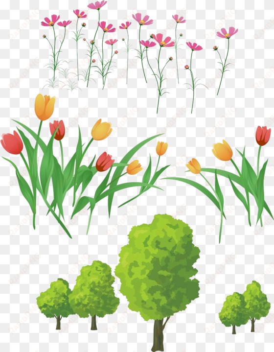 flower download clip art colored tulips transprent - background