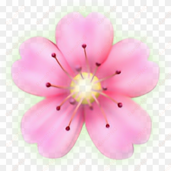 flower emoji png - iphone flower emoji png