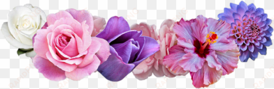 Flower Flowers Flowerband Flowercrown Headband Overlay - Flower Crown Png transparent png image