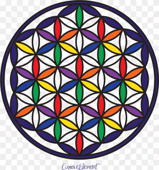 flower of life - flor de la vida